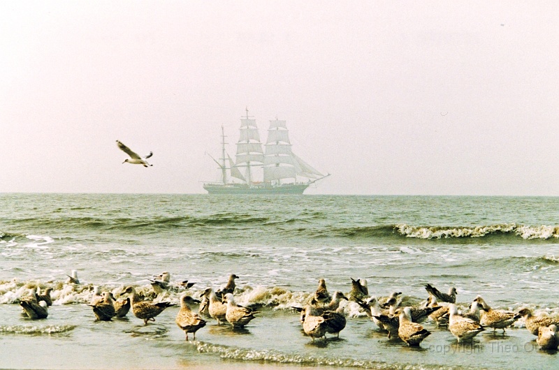 2005 10 xx TO Texelstrand zeilschip.jpg